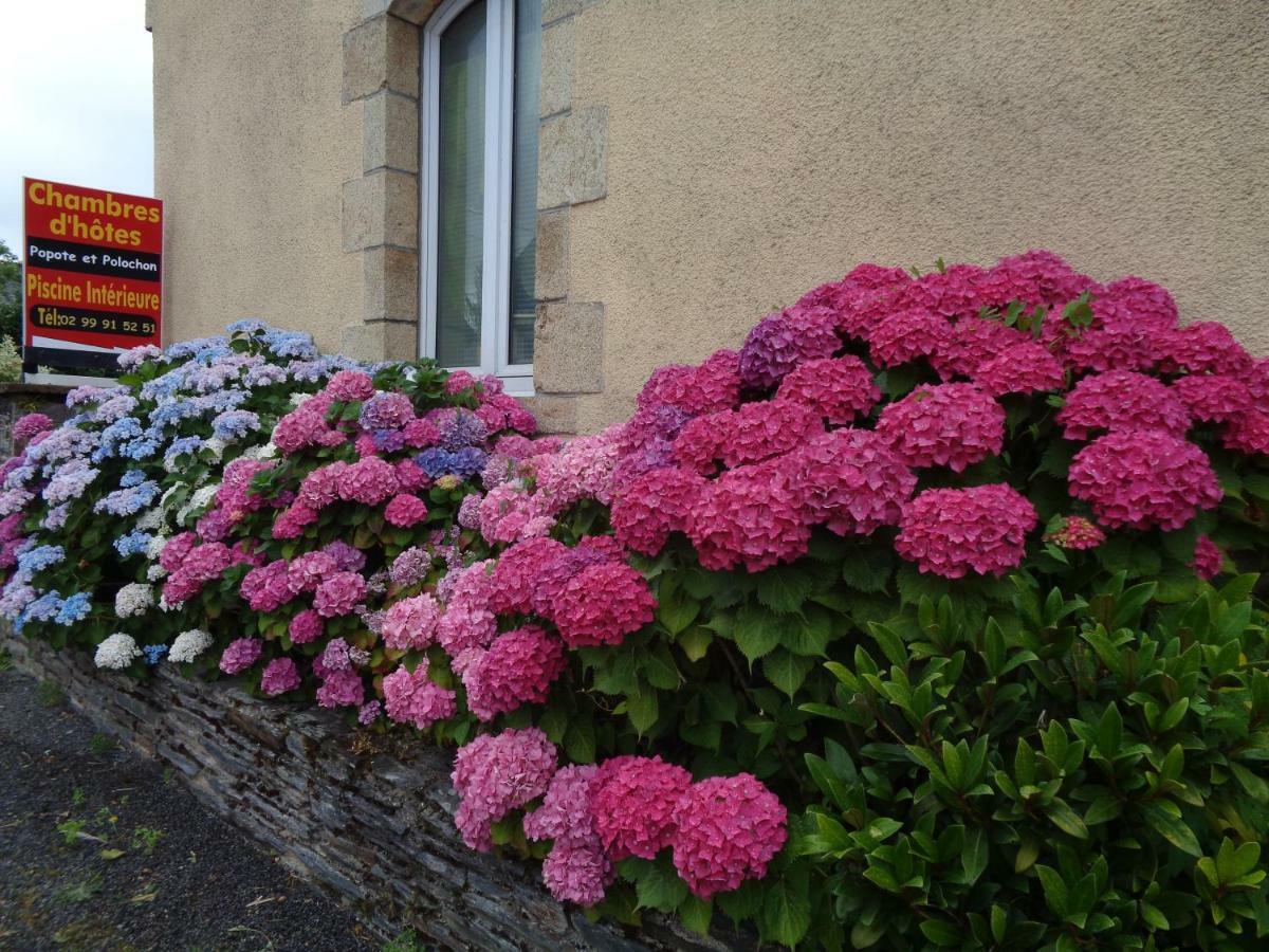 Popote Et Polochon Bed and Breakfast Saint-Martin-sur-Oust Eksteriør billede